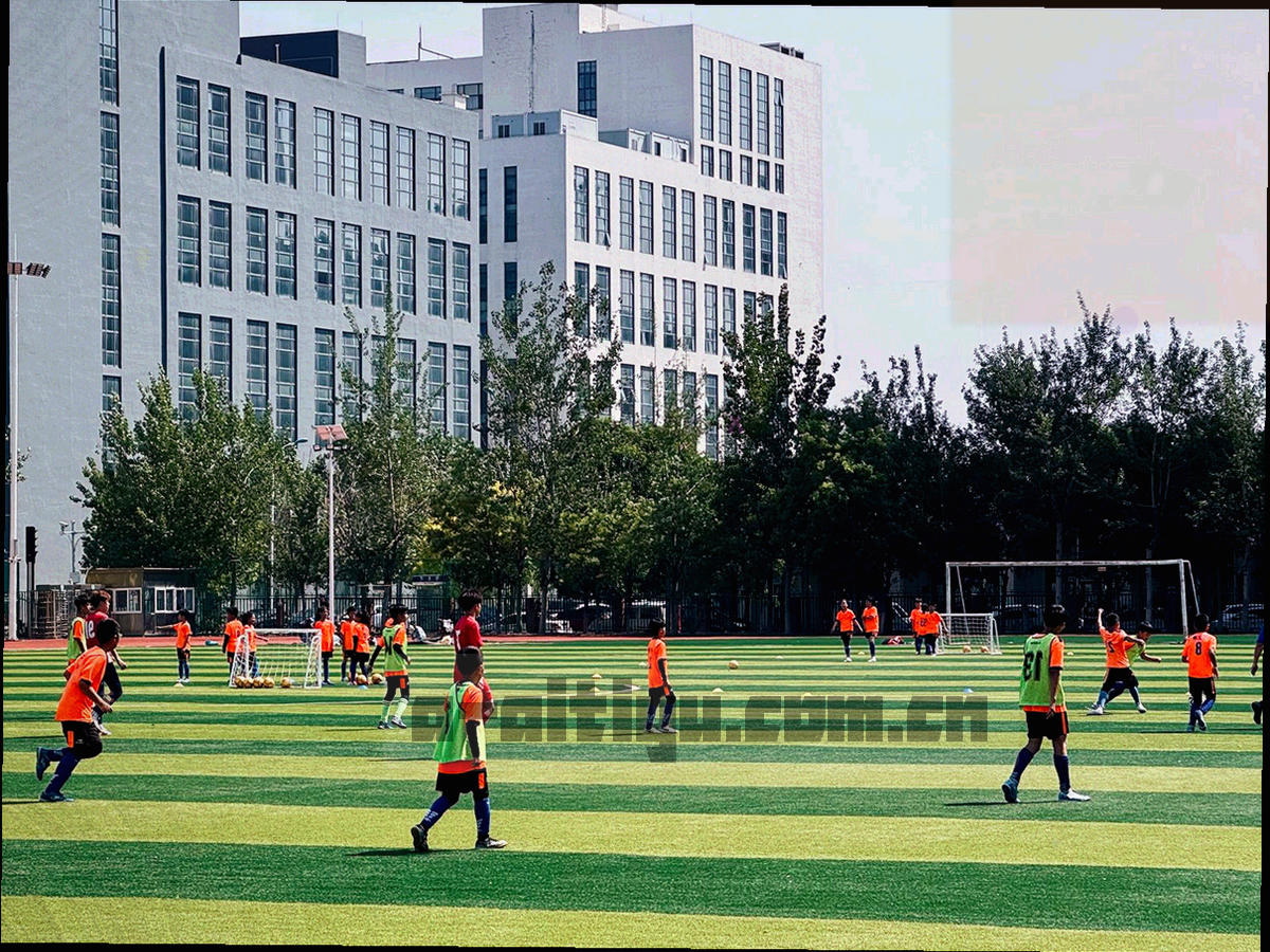场馆信息表格界面特写，列出座位数、交通方式、开赛时间与伤停状态色块